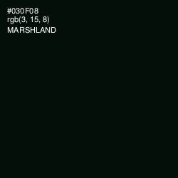 #030F08 - Marshland Color Image