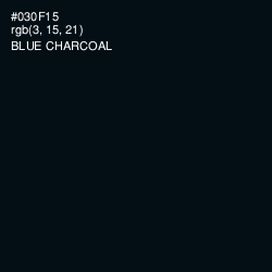 #030F15 - Blue Charcoal Color Image
