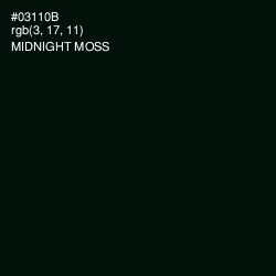 #03110B - Midnight Moss Color Image