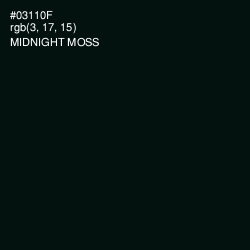 #03110F - Midnight Moss Color Image