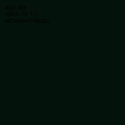 #03130B - Midnight Moss Color Image