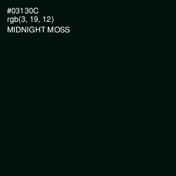 #03130C - Midnight Moss Color Image
