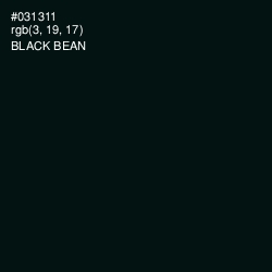 #031311 - Black Bean Color Image