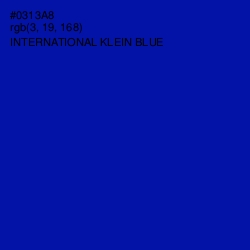 #0313A8 - International Klein Blue Color Image