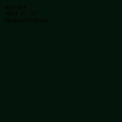 #03150A - Midnight Moss Color Image