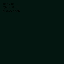 #031710 - Black Bean Color Image