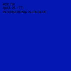 #0317B1 - International Klein Blue Color Image