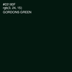 #03180F - Gordons Green Color Image