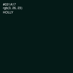 #031A17 - Holly Color Image