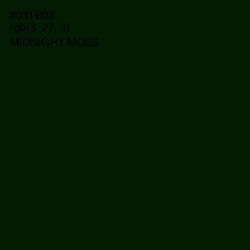 #031B03 - Midnight Moss Color Image