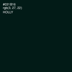 #031B16 - Holly Color Image