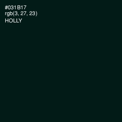 #031B17 - Holly Color Image
