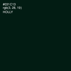 #031C13 - Holly Color Image