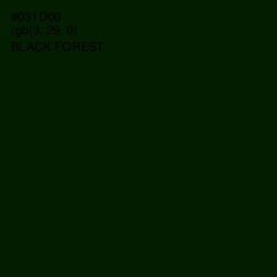 #031D00 - Black Forest Color Image