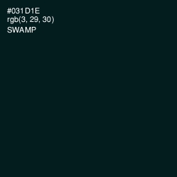 #031D1E - Swamp Color Image
