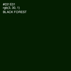 #031E01 - Black Forest Color Image