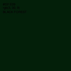 #031E09 - Black Forest Color Image