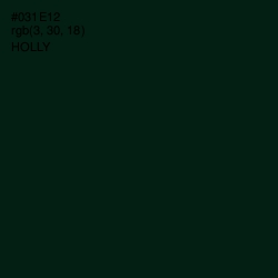 #031E12 - Holly Color Image