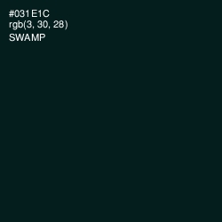 #031E1C - Swamp Color Image