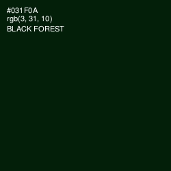 #031F0A - Black Forest Color Image