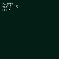 #031F15 - Holly Color Image