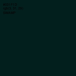 #031F1D - Swamp Color Image