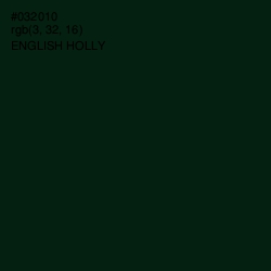 #032010 - English Holly Color Image