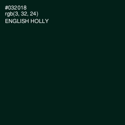 #032018 - English Holly Color Image