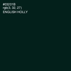 #03201B - English Holly Color Image