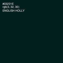 #03201E - English Holly Color Image