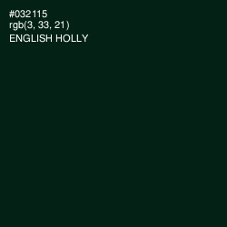 #032115 - English Holly Color Image