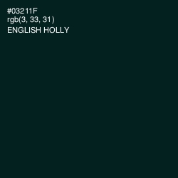 #03211F - English Holly Color Image