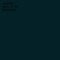 #032126 - Burnham Color Image