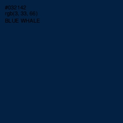 #032142 - Blue Whale Color Image