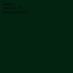 #032311 - English Holly Color Image