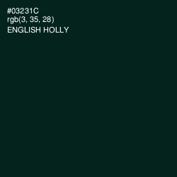 #03231C - English Holly Color Image