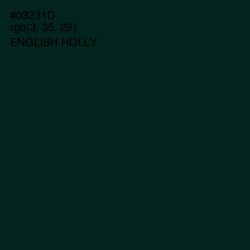 #03231D - English Holly Color Image