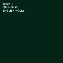 #032416 - English Holly Color Image