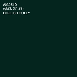 #03251D - English Holly Color Image