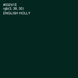 #03261E - English Holly Color Image