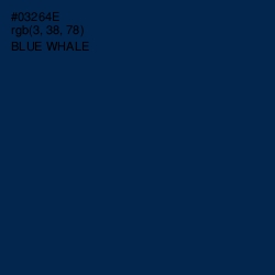 #03264E - Blue Whale Color Image