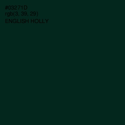 #03271D - English Holly Color Image