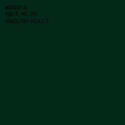 #03281A - English Holly Color Image