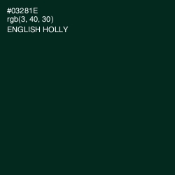 #03281E - English Holly Color Image