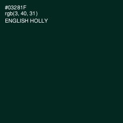 #03281F - English Holly Color Image