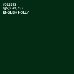 #032B13 - English Holly Color Image