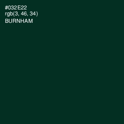 #032E22 - Burnham Color Image