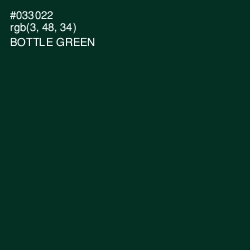 #033022 - Bottle Green Color Image