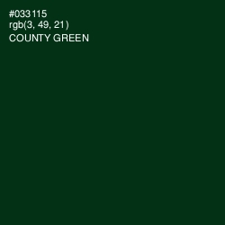 #033115 - County Green Color Image