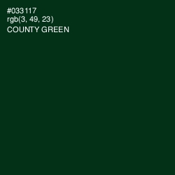 #033117 - County Green Color Image